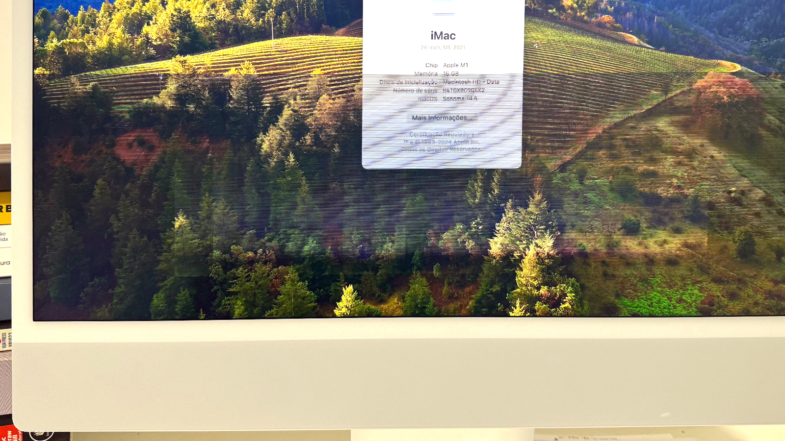 A photo of a damaged iMac screen showing horizontal lines.