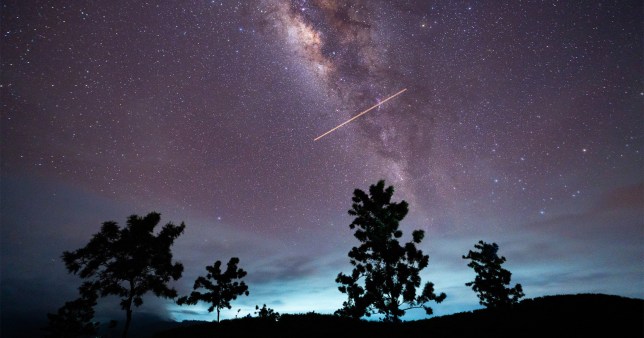 The straight line of a meteor travelling through the sky where the Milky Way is visible over the silhouettes of trees.