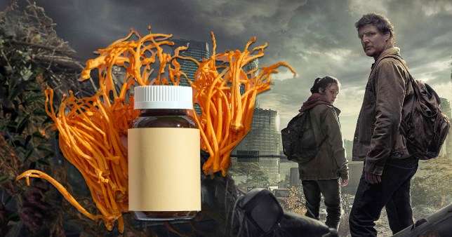 A picture of a medicine bottle in the foreground and a poster from The Last of Us in the background 