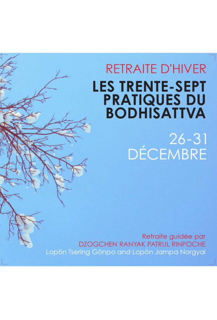 A commentary on the Thirty-Seven Practices of a Bodhisattva (French edition)