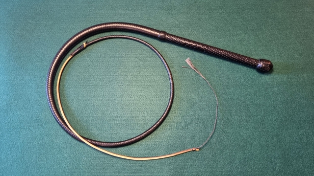 Bullwhip