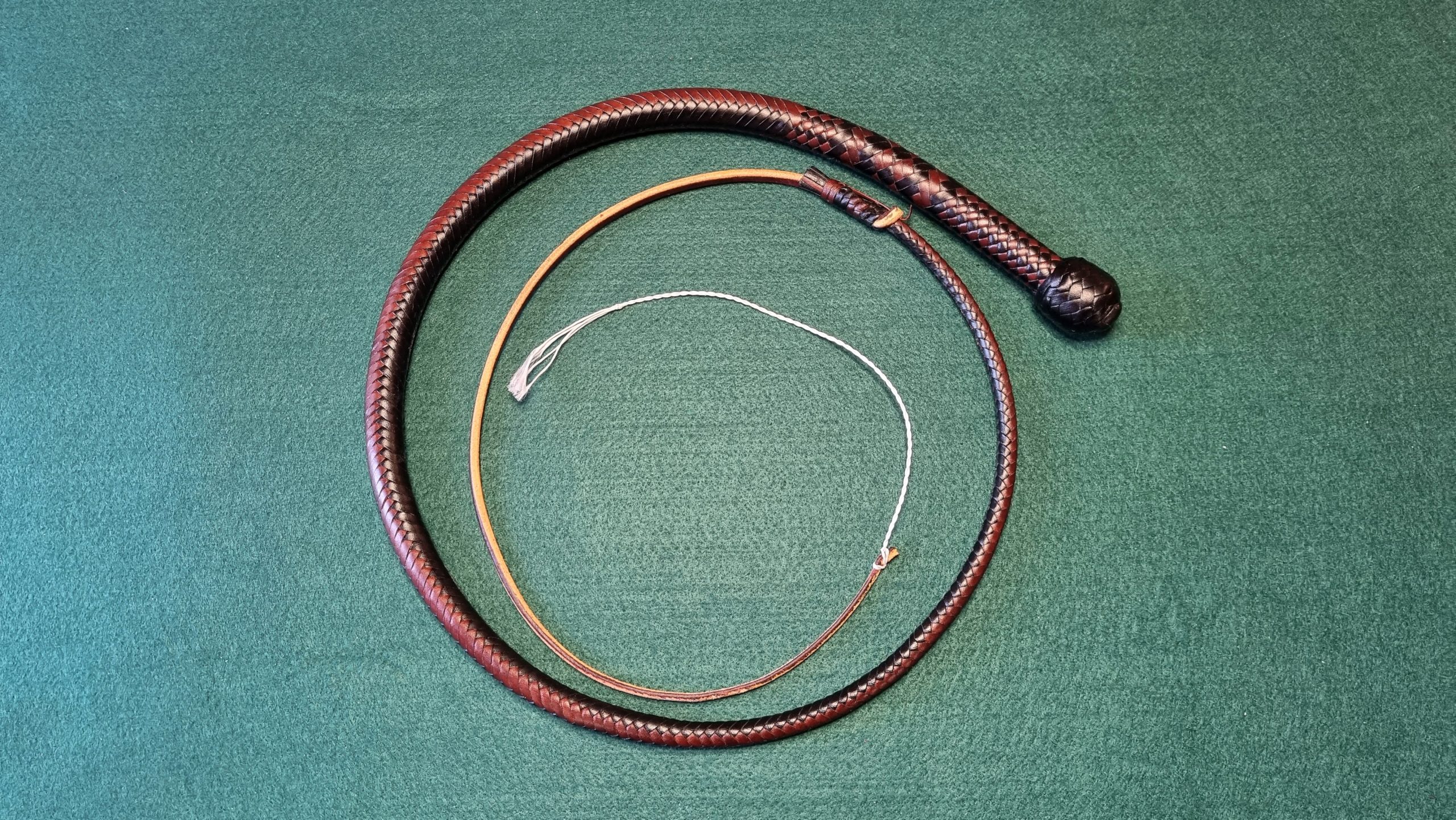 Snakewhip