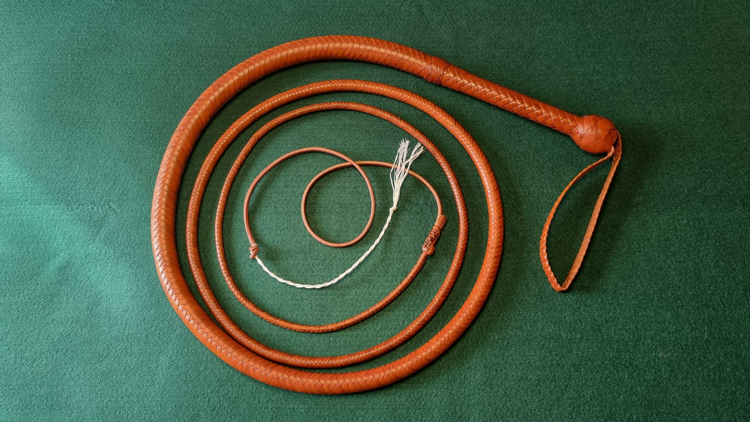 Indiana Jones whip bullwhip