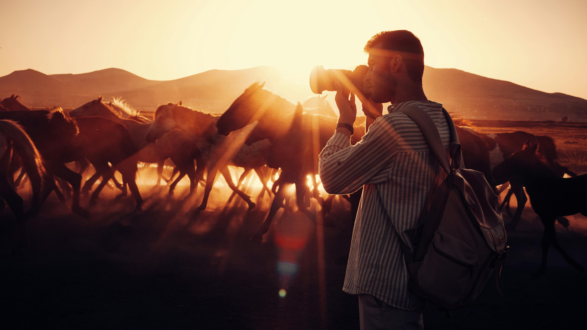 paardenfotograaf
