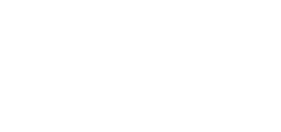 WLX WeLink Express