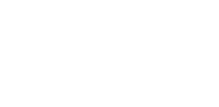 WLX WeLink Express AB transport sverige 2