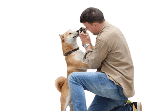 Koop een pup bij een betrouwbaar fokker