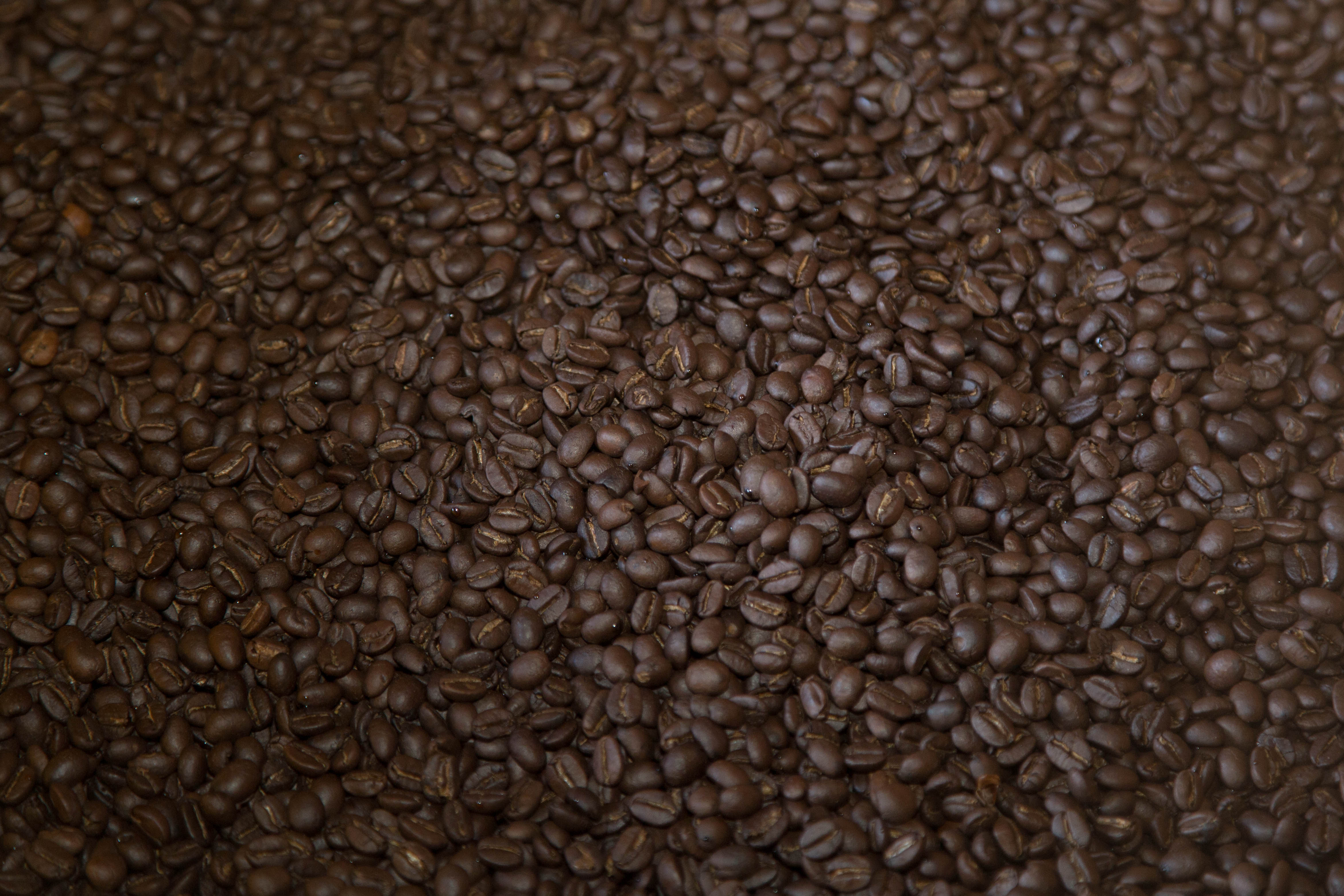 Roasted coffee, sorry you can´t smell the aroma