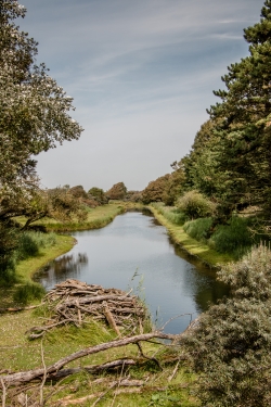 Amsterdamse Waterleidingduinen