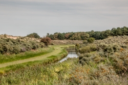 Amsterdamse Waterleidingduinen