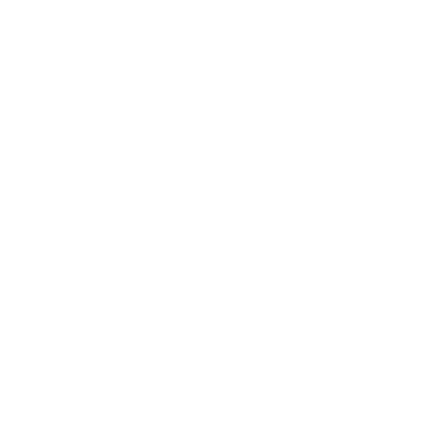 Kartläggning av organisatoriska och sociala indikatorer Kartläggning av organisatoriska och sociala indikatorer