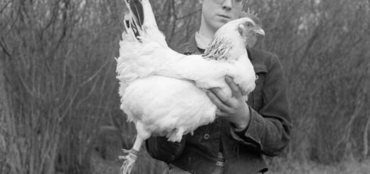 Land Girl and chicken