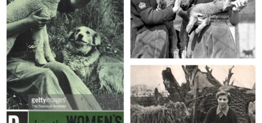 Lambing Women's Land Army