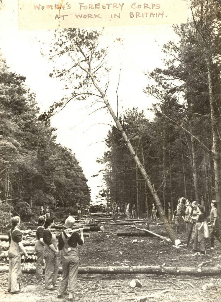 Women's Forestry Corps