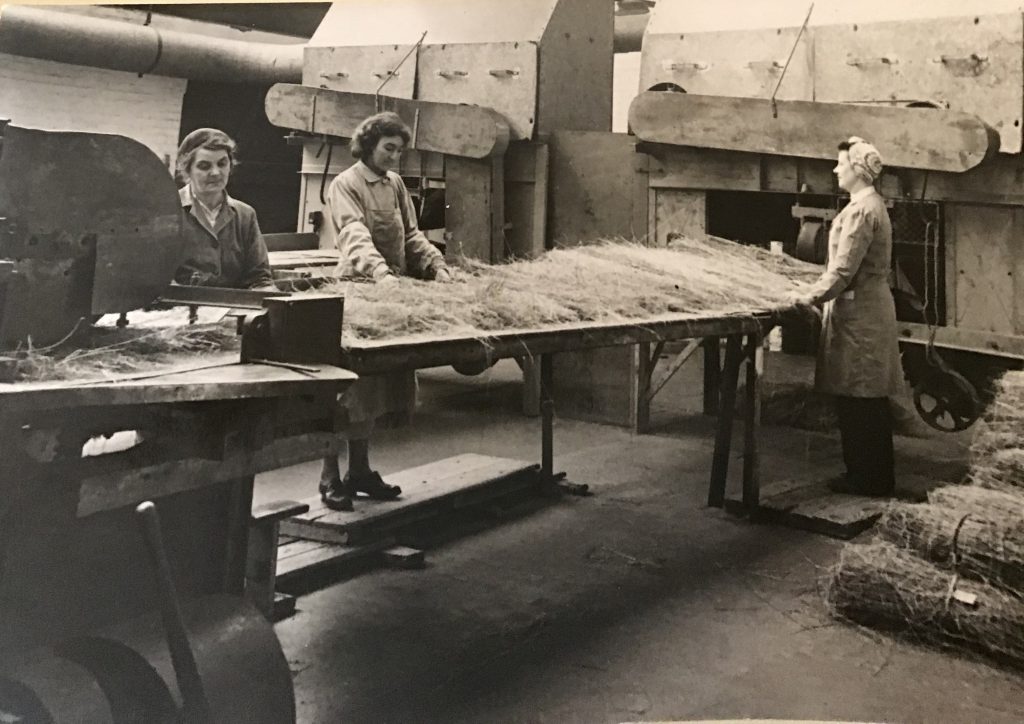 Land Girls At Pluckley