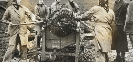 Sorting Potatoes