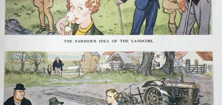 The Farmer's Idea of a Land Girl