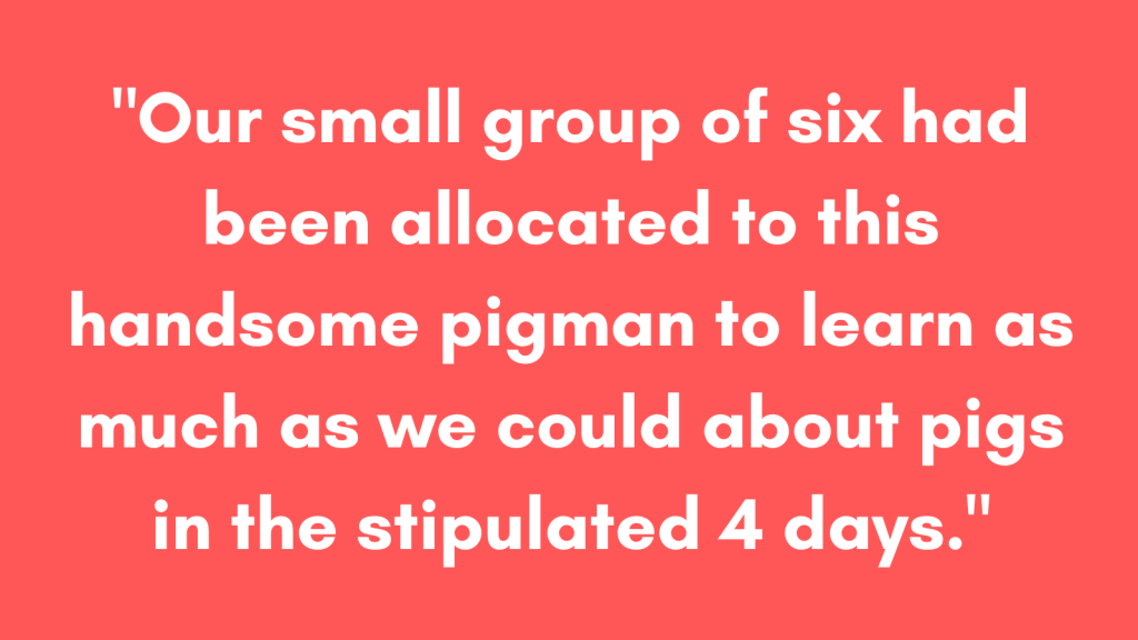 Our small group of six had been allocated to this handsome pigman to learn as much as we could about pigs in the stipulated 4 days.