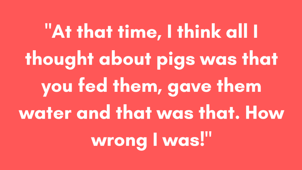 At that time, I think all I thought about pigs was that you fed them, gave them water and that was that. How wrong I was!