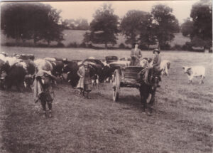 Dorothy Williams on a cart.