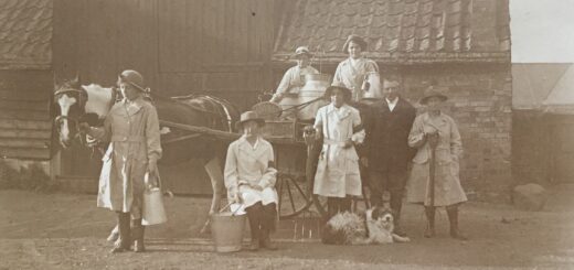 WW1-Land-Girls-on-farm