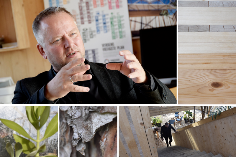 WoodHub - collage med træ og Lars Ørvad, NCC