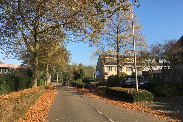 Nieuwbouw Poortmolen