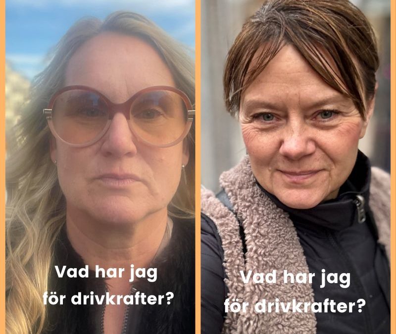 Kan du se vad som driver och motiverar oss?  