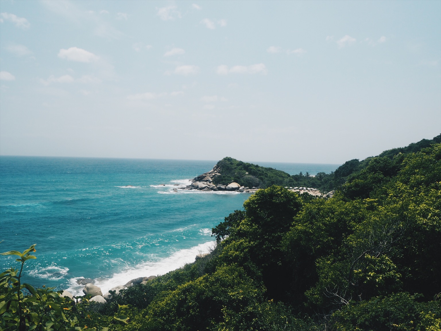 Blue ocean and vegetation