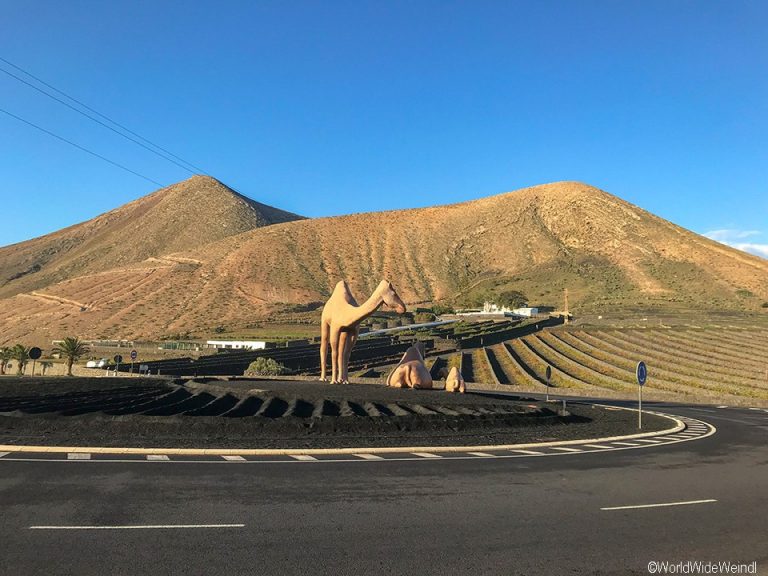 Lanzarote 005- Kreisverkehr