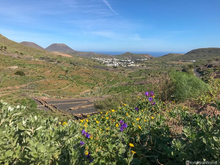 Lanzarote 924, Panormastraße Teguise nach Haria