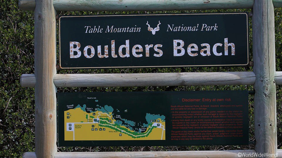 Südafrika 73- Boulders Beach