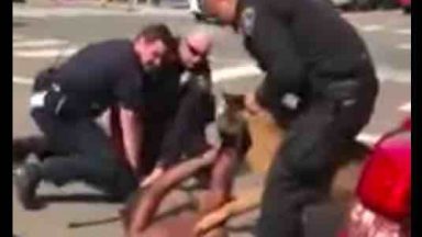 handling police dog