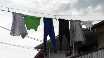 stealing neighbors underwear on line