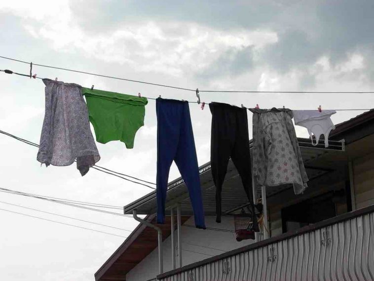 stealing neighbors underwear on line