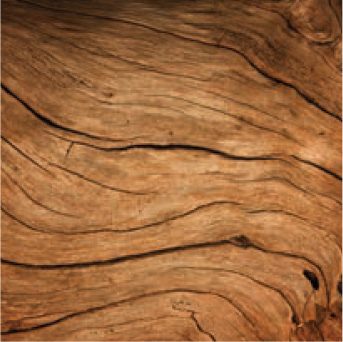 Wood-5