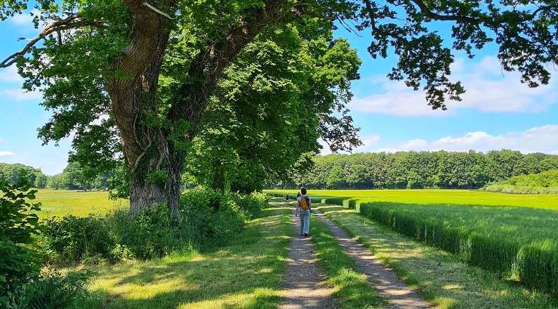 Vandring på Kyststien - Forlæng feriefølelsen