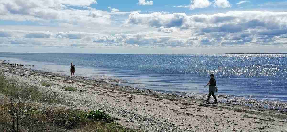 Vandrere på strand - forside