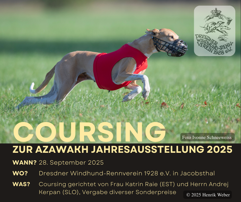 Leistungscoursing im Herbst 2025