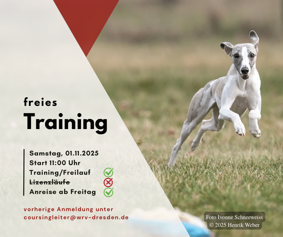 Freies Training – Saisonabschluss