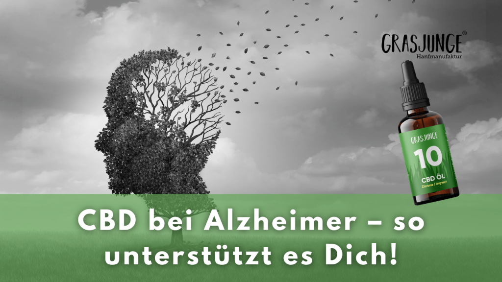 CBD bei Alzheimer