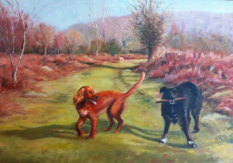 Oil painting of a Springer Spaniel and black Collie on Dartmoor