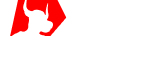 xm partner logo