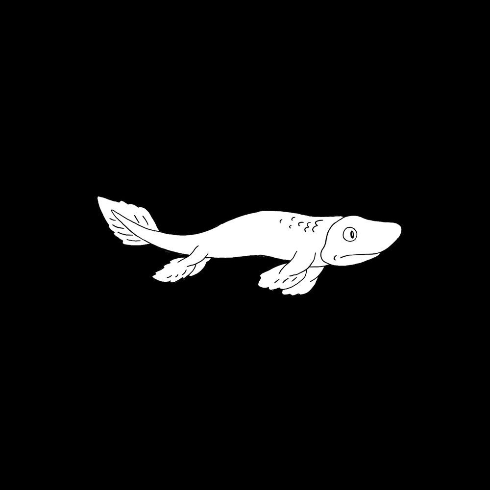 07Tiiktalik