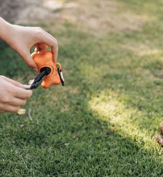 Gartenservice der Gebäudereinigung Mülheim