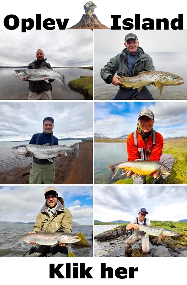 Fiskerejser til Island.