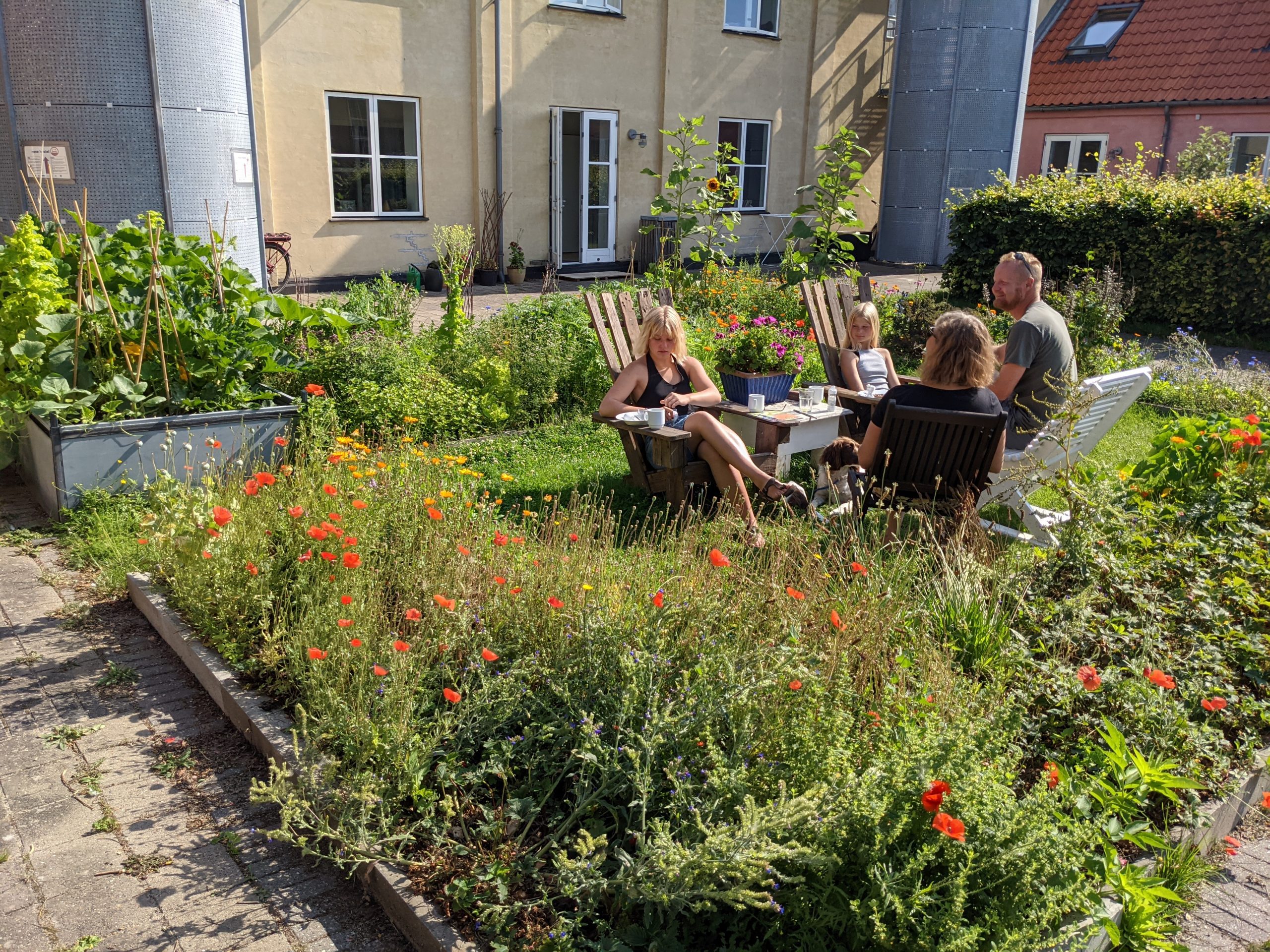 Iværksætterhuset Bornholm Gårdhave