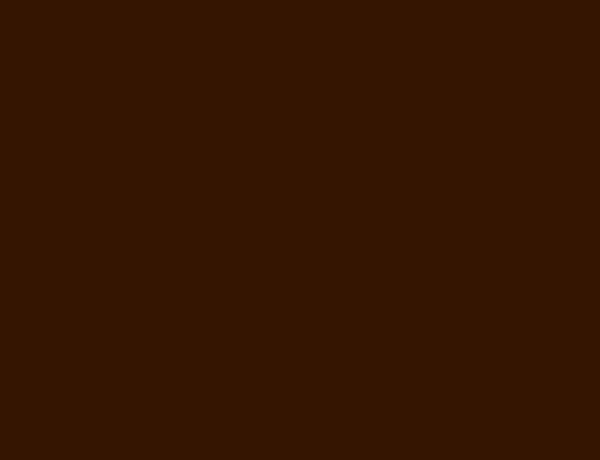 Linoljefärg brun umbra mörk fasadfärg målarfärg måla huset träfasad väggfärg #351501