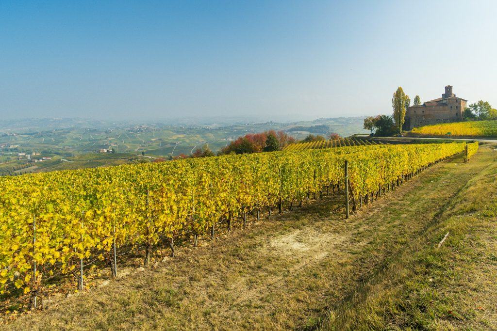 Ferie i Italien Nyd Gaja vin i hjertet af Piemonte