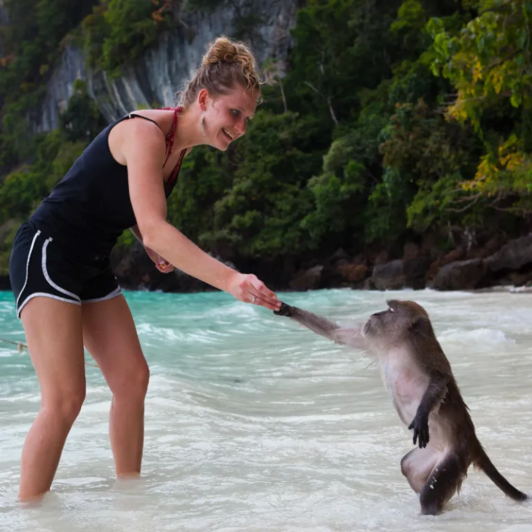 Monkey Beach